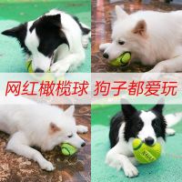 耐威克狗狗玩具发声球泰迪法斗金毛大小型犬磨牙耐咬幼犬宠物用品