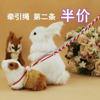 仓鼠牵引绳兔子金丝熊溜松鼠荷兰猪牵引绳宠物第二根半价 一根