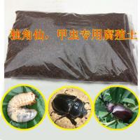 独角仙幼虫 L3 成虫 甲虫宠物活体易养另类热门 新手套餐 [不含幼虫]专用饲料[3升左右]