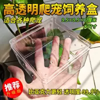 爬宠爬虫饲养盒造景蜘蛛蝎子昆虫小方盒爬宠箱透明防越狱 高透明饲养盒(强烈推荐) 单盒子1个