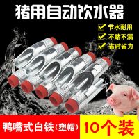 猪用饮水器加厚不锈钢猪饮水嘴猪喝水猪自动喂水器猪场设备10个装 镀铬鸭嘴塑料帽10个装