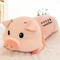 小猪猪毛绒玩具长条陪睡觉抱枕夹腿布娃娃可爱公仔床上大玩偶拆洗[9月15日发完] 小仙女专属 约60厘米[收藏送小礼物]