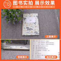 [正版含音频]床头灯读物本系列英语3000词 黑骏马中英文双语书籍 高中一二大学四级阅读强化训练外国小说欣赏课外书世界云