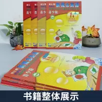 新概念英语青少版1A+1B全套4本可点读学生用书+练习册新概念英语(青少版1B练习册)DVDmp3光盘少儿小学生青少年英