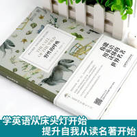 野性的呼唤 床头灯英语3000词读物 床头灯系列中英原版小说英语词汇分级阅读高中生高考必备课外阅读书籍可搭书虫牛津英汉双