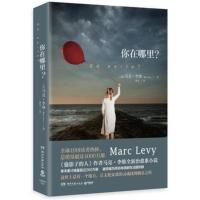 你在哪里 《偷影子的人》作者马克.李维全新治愈系小说同名电视剧在放法国放映 暖心情感励志小说外国文学经典书籍 国外小说