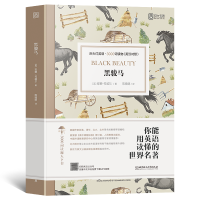 官方正版床头灯英语3000词读物中英文对照黑骏马英语读物英文英语小说双语版读物中英文双语对照阅读书初中生高中生英语课外书