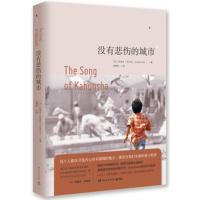 没有悲伤的城市 阿诺什艾拉尼 外国文学温情治愈系小说 追风筝的人 偷影子的人 都市情感信仰励志书籍