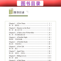 床头灯英语3000词读物德伯家的苔丝 床头灯系列英语读物3000词中英文对照 高中英语读物书双语 英汉双语小说名著 初中