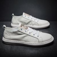 真皮鞋子男2021新款男生小白鞋男款板鞋男士鞋男鞋潮流百搭春秋款 米白色 38