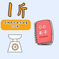 笔记本本子批发按斤卖清新简约可爱韩版学生手帐本线圈本文具 大小号本子混搭 1斤装