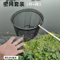 星辰雨不锈钢抄网捞鱼网实心折叠抄网头套装伸缩抄网杆大物鱼网兜 加厚1.5米杆+实心圈35cm密眼网