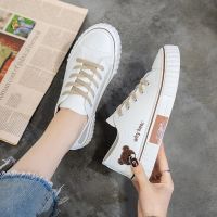 宋亚轩同款小白鞋女百搭ins街拍潮鞋小众原创设计高帮帆布鞋小熊 低帮白色 35 标准码