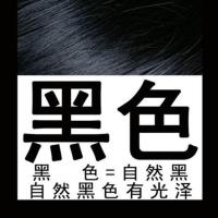 藤雅染发剂泡泡染发膏藤雅染发梳专用替换液配液管第三代五代通用 黑色(不含工具梳,可遮盖白发) 1套染发剂(不含工具梳)买