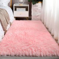 加厚地毯卧室少女耐脏床边客厅榻榻米房间大面积满铺毛毯脚垫地毯 长毛粉色 40*120cm（两件装）