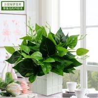 发财树盆栽仿真花客厅家居塑料花绿植物书桌摆件卧室办公室装饰品 方盆绿萝盆景套装