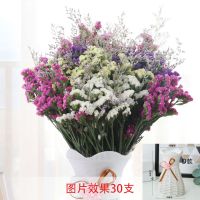 干花勿忘我云南昆明基地批发满天星干花配材装饰花束勿忘我永生花 勿忘我6色加草 20支