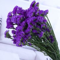 带花瓶勿忘我干花花束天然真花雏菊满天星小清新家居客厅摆设装饰 10枝勿忘我 不含瓶