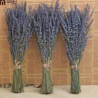 薰衣草干花花束满天星家居用品家庭客厅桌面装饰品摆件生日礼物 普通薰衣草花束100g
