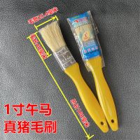 南星高级猪毛刷油漆刷123456寸棕毛刷扫灰涂料刷乳胶漆猪毛小刷子 1寸午马猪毛刷 2把
