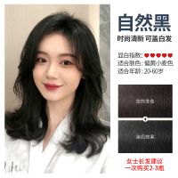 染发剂2021流行色自己在家染洗发水清水永久黑发天然 品牌 自然黑(四件套+盖白发)