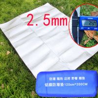 加厚防水防潮垫超厚户外露营睡垫家用打地铺地板地垫便携野餐垫子 基础款【1.2m*2m】送收纳袋