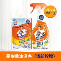 威猛先生重油污净厨房清洁剂抽油烟机强力去污除垢455g+420g 威猛先生重油污净 455g+420g(套装)