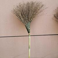 竹扫把,户外扫马路大扫把,打包带捆扎打孔设计不掉头。 小光丝扫把(一把价)