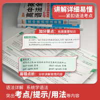 pass绿卡图书 高中英语语法全解高中语法知识大全2021版高考英语复习资料高一高二高三通用新教材新高英语专项训练语法书