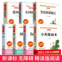 四六年级上下册必读经典书目全套7册小英雄雨来正版童年高尔基爱的教育骑鹅旅行记鲁滨逊漂流记汤姆索亚历险记小学生课外阅读书籍