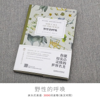 床头灯系列英语3000词野性的呼唤中英文对照名著双语版读物中文英汉互译系列读本初中高中生课外阅读书虫牛津原版小说原著双译