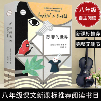 正版 苏菲的世界 平凡的世界 普及本2册茅盾文学奖现当代文学小说中学生课外阅读名著书籍原著哲学启蒙丛书世界文学小说