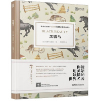 【床头灯英语3000词】黑骏马中英文对照世界文学名著双语版读物英汉互译中文英文初中高中课外阅读原版外国小说原著中学生书籍