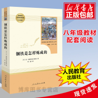 「八年级下册 」傅雷家书+钢铁是怎样炼成的2册 人民教育三联出版社 初二中学生必读课外阅读书目 世界名著配套阅读人教版