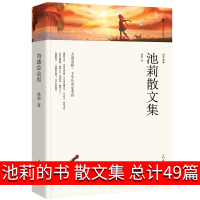 奇迹总会有 池莉著 现代/当代文学 大道至简,于平凡中见本真 一人一世界 一颗自己的心 池莉自选集池莉经典文集池莉全集池