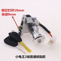 电动车电源锁小龟车电摩托车巧格雷霆王迅鹰战速电瓶车门锁龙头锁 小龟王 2 线普通钥匙