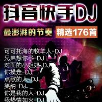 流行网络热歌DJ小嗨曲音乐U盘可可托海牧羊人 海底 别错过音频MP3 512MB抖音DJ176首音频U盘