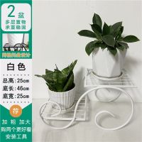 特价加粗花架子客厅欧式花架绿萝铁艺花盆架多层多肉架子阳台花架 白色 两层