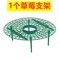 家庭种植草莓托盘架神器防倒伏植物果实支撑园艺用品草莓支撑架子 绿色草莓托盘1个 无搭配