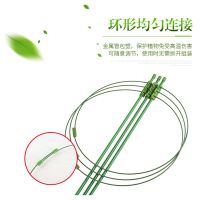 [买3送1]爬藤架花架园艺支架植物攀爬架室内外月季铁线莲花架 高45cm调节款[圈直径18cm]