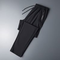 富贵鸟新款冰丝裤子男夏季休闲裤超薄透气速干裤宽松弹力直筒长裤 WZ冰丝/直筒黑色 L 建议95-110斤左右