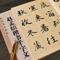 正版赵体行楷毛笔书法字帖原版临摹赵孟頫楷书千字文毛笔字帖 历代墨宝选粹（正8开）：赵孟頫楷书千字文