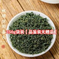 [买一斤送一斤]2021新茶明前毛尖绿茶绿茶茶叶浓香型绿春茶毛尖 250袋装[无赠品]