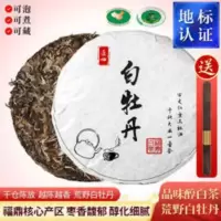 福鼎老白茶白牡丹茶饼陈年茶300g白牡丹福建老白茶 300g