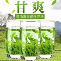 绿茶碧螺春2020新茶 茶叶特级浓香型苏州炒青绿茶碧螺春袋装250克 [试喝专享]