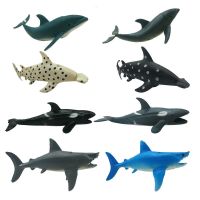(8个大号)软胶仿真动物模型海洋生物鲨鱼鲸鱼海豚套装儿童玩具 软胶 鲨鱼套装8只(活动)