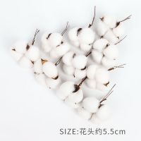 棉花枝10枝棉花头干花花束配饰手工制作材料手工DIY制作花束材料 棉花头 10个(不带杆)