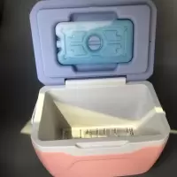 icemaster冰大师5.5升保温箱母乳冷藏箱全PU保温层迷你保温箱双色 樱花粉