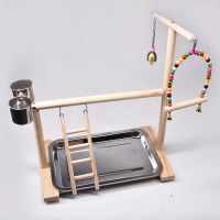 鹦鹉游乐场站架牡丹玄凤小太阳和尚站架秋千啃咬串脚链实木鸟架子 A款（送4号脚环脚链）虎皮云斑用