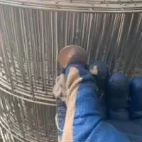 鸟笼网鹦鹉笼宠物养殖网鸽子笼兔笼养鸡镀锌网电焊网阳台防护网 2.5厘米*10厘米网孔 0.3米宽1米长/2毫米粗